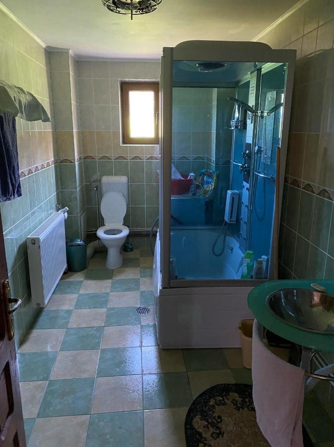 Casa Alesi Villa Dragoslavele Ngoại thất bức ảnh